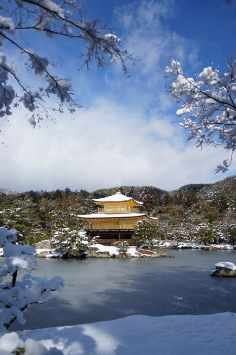 [京都] 雪色京都 幸運遇見的第二次雪金閣